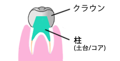 前歯の部位の説明図